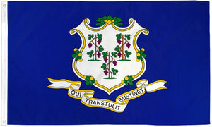 Connecticut State Flag