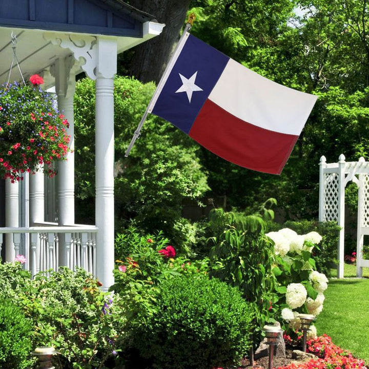 Texas Flag